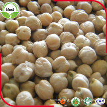 Chinese Origion 7mm 8mm 9mm 10mm 12mm Kabuli Chickpeas